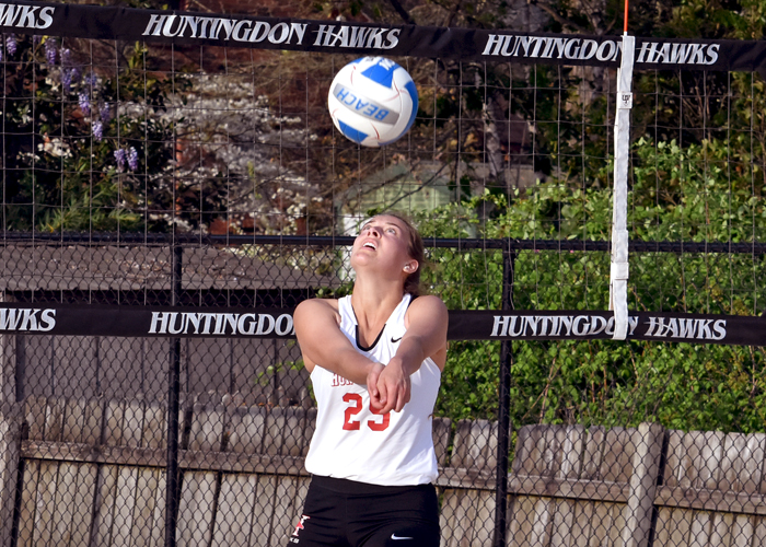 Hawks compete in College of Charleston Tournament