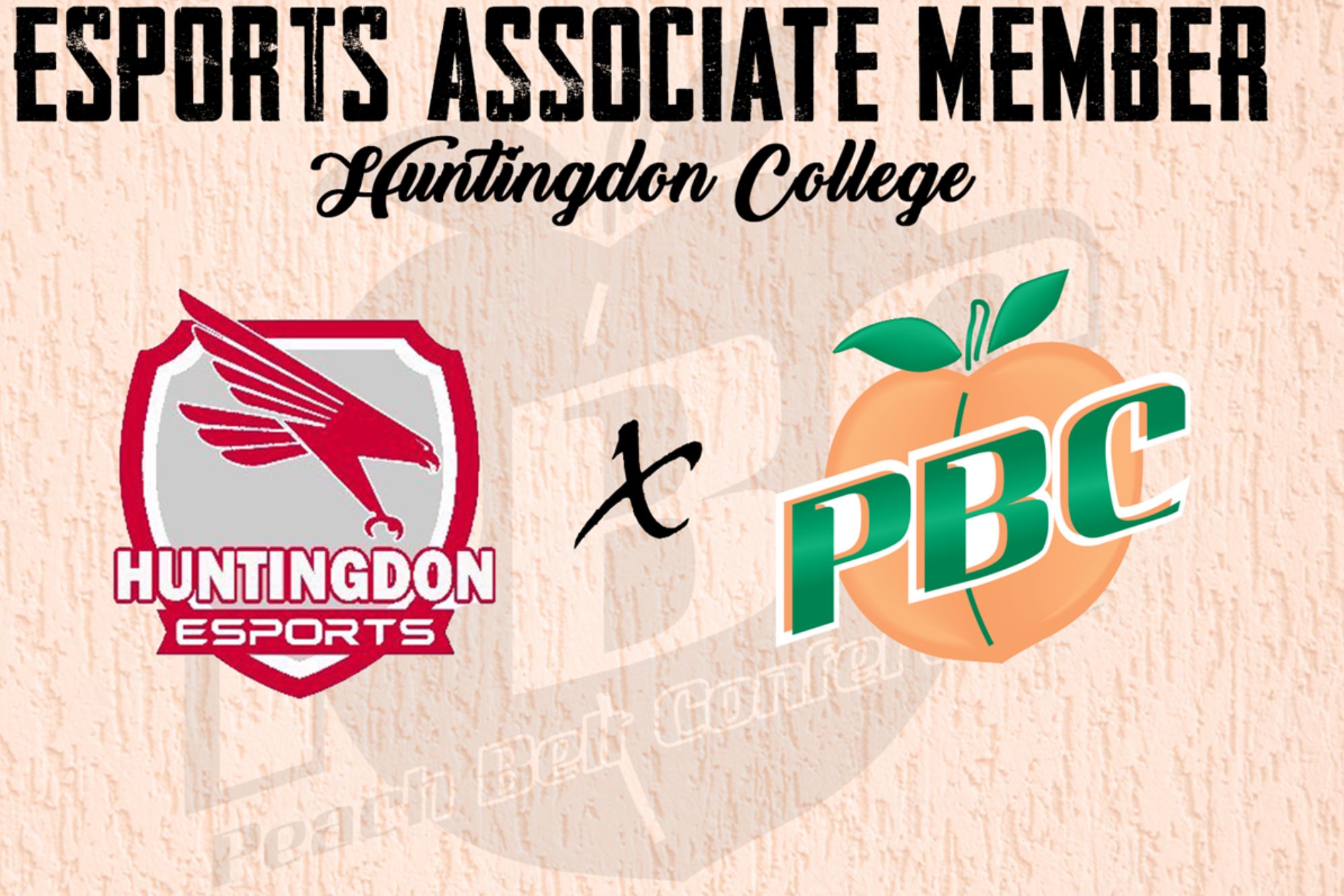 Huntingdon Esports Joins The Peach Belt Conference