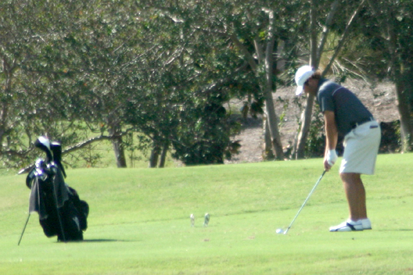 Huntingdon men&rsquo;s golf tied for 13th entering Rd. 3 of Jekyll Island Inv.
