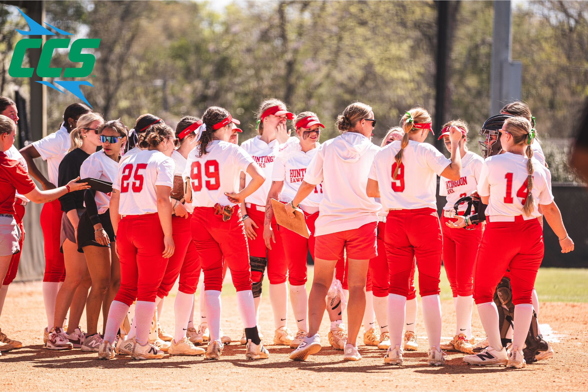 Softball Enters CCS Tournament As The 2 Seed