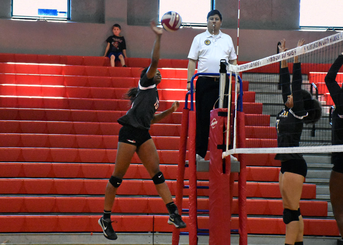 Hawks down Piedmont, fall to Covenant