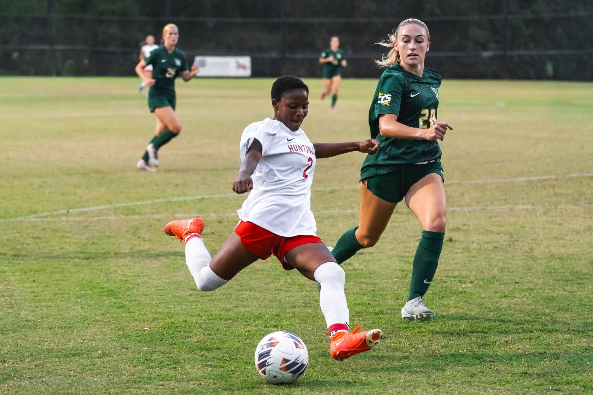 Hawks Taken Down By Piedmont